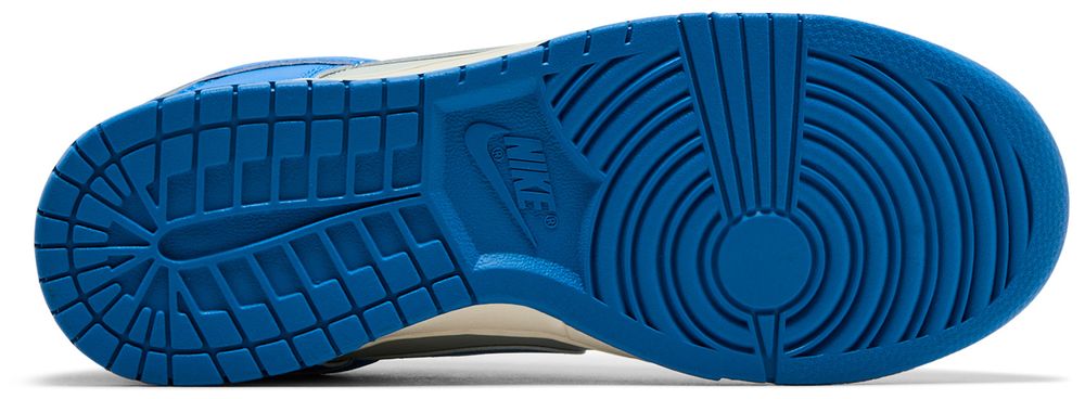 Nike Dunk Low Detroit Lions