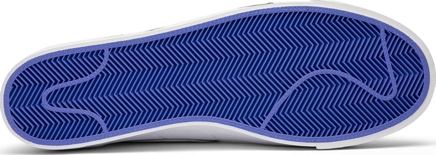 Nike Blazer Flyleather Steve Harrington Earth Day (2019)