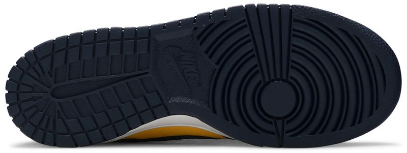 Nike Dunk Low Michigan (2021/2024) (GS)