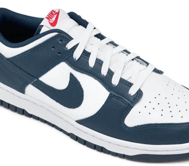 Nike Dunk Low Valerian Blue