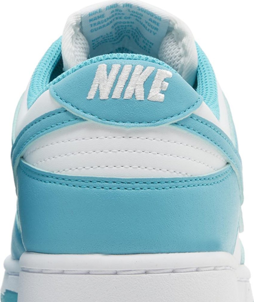 Nike Dunk Low Next Nature Dusty Cactus (Women's)