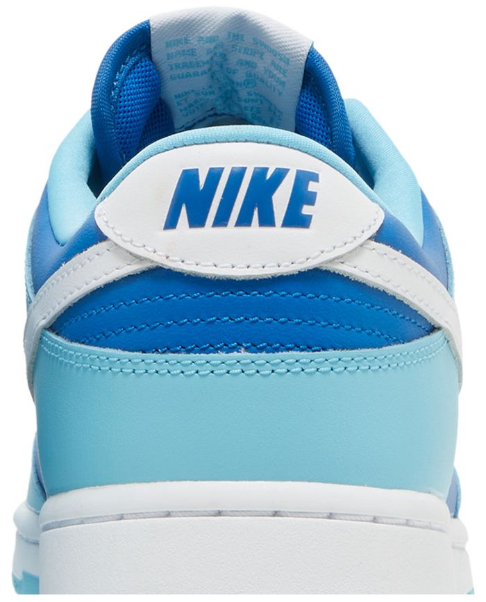 Nike Dunk Low Retro Argon