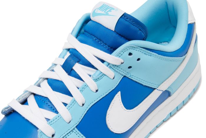 Nike Dunk Low Retro Argon