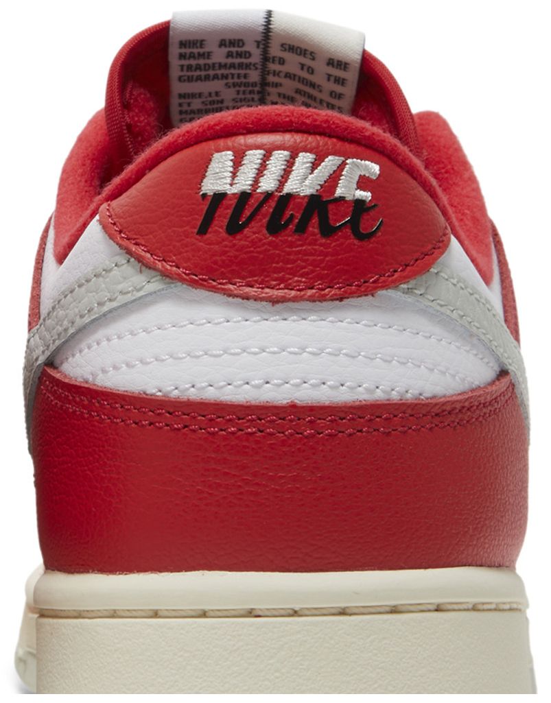 Nike Dunk Low Chicago Split