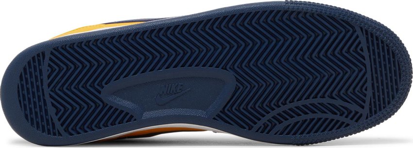 Nike Terminator Low Michigan