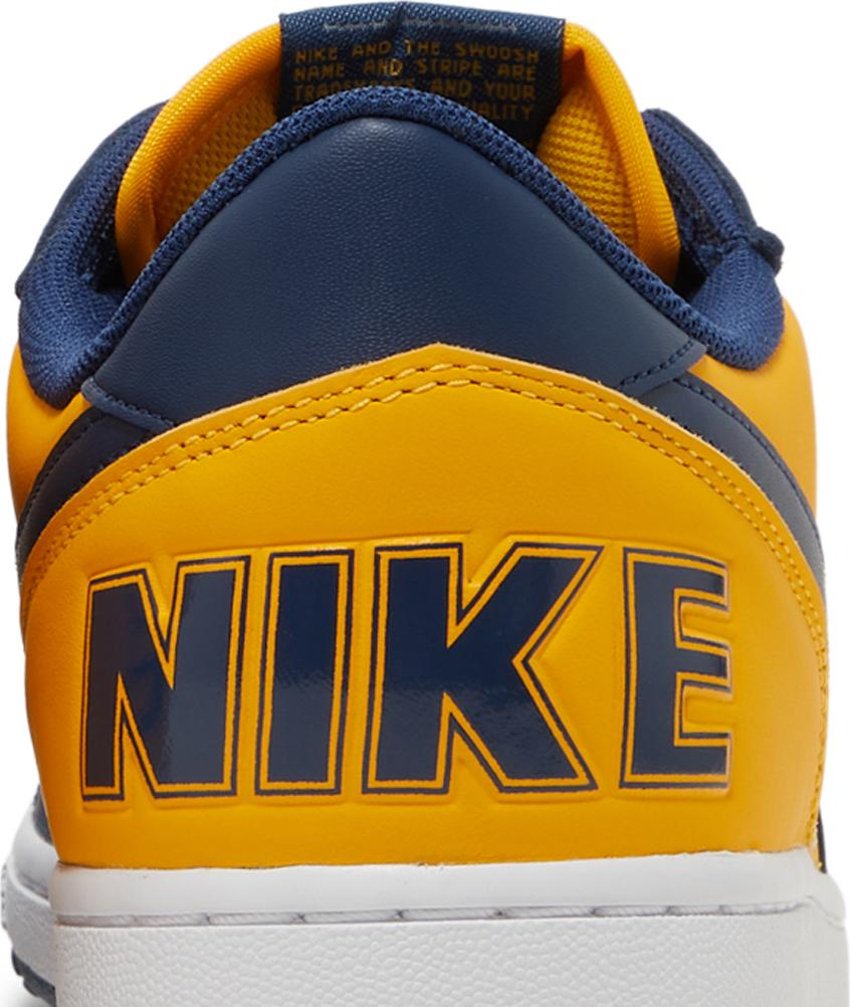 Nike Terminator Low Michigan