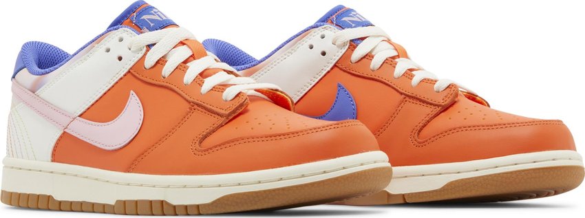Nike Dunk Low SE Everything You Need (GS)