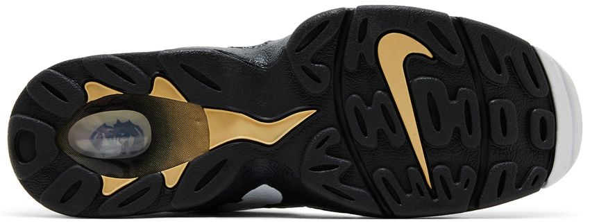 Nike Air DT Max '96 Colorado Away White Black