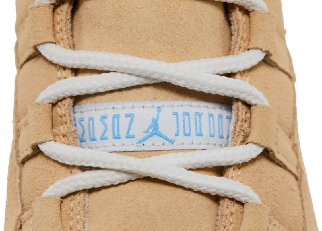 Jordan 11 Retro H-Town