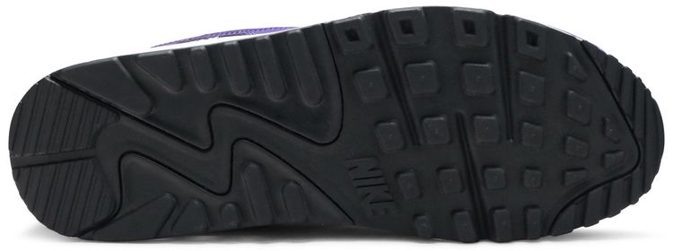 Nike Air Max 90 Grape