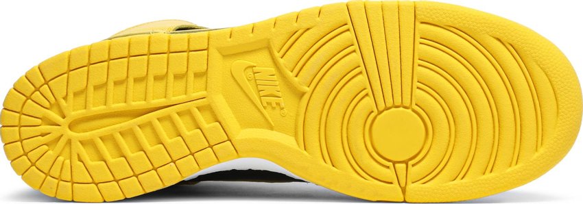 Nike Dunk High Iowa (2020)