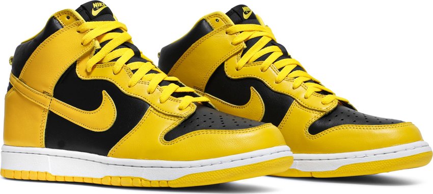 Nike Dunk High Iowa (2020)