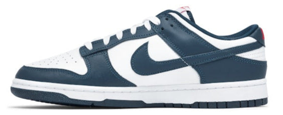 Nike Dunk Low Valerian Blue