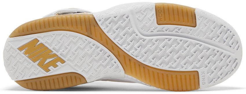 Nike LeBron Zoom 2 Maccabi (2022)