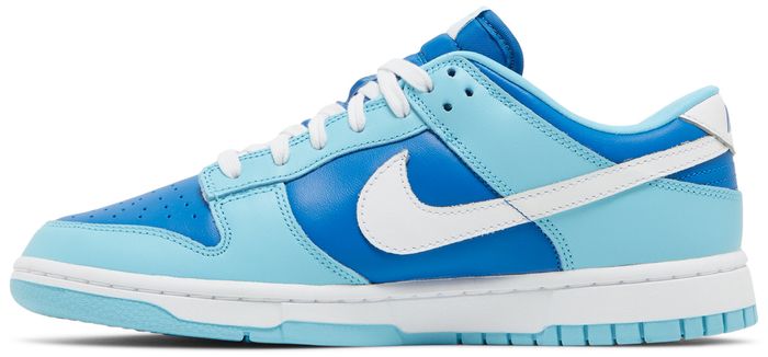 Nike Dunk Low Retro Argon