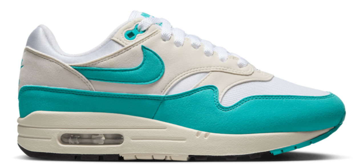 Nike Air Max 1 Dusty Cactus (Women's)