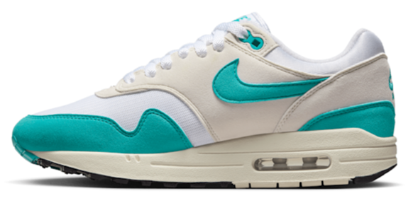 Nike Air Max 1 Dusty Cactus (Women's)