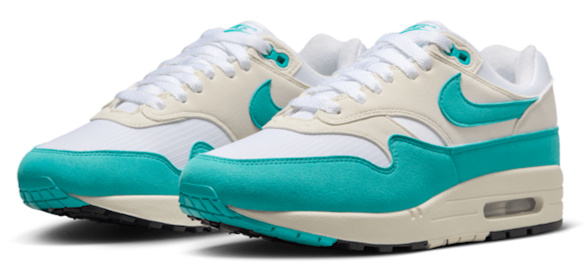 Nike Air Max 1 Dusty Cactus (Women's)