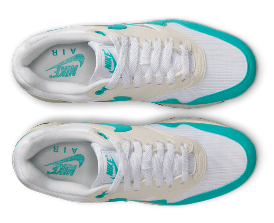 Nike Air Max 1 Dusty Cactus (Women's)