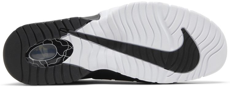 Nike Air Max Penny 1 Tiger Stripes Black White