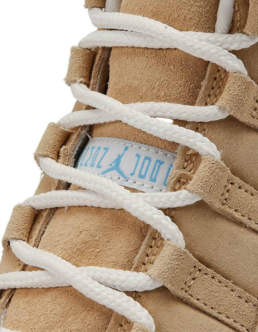 Jordan 11 Retro H-Town