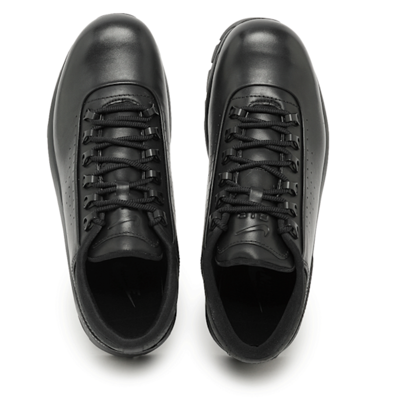 Nike Air Max Goadome Low Black